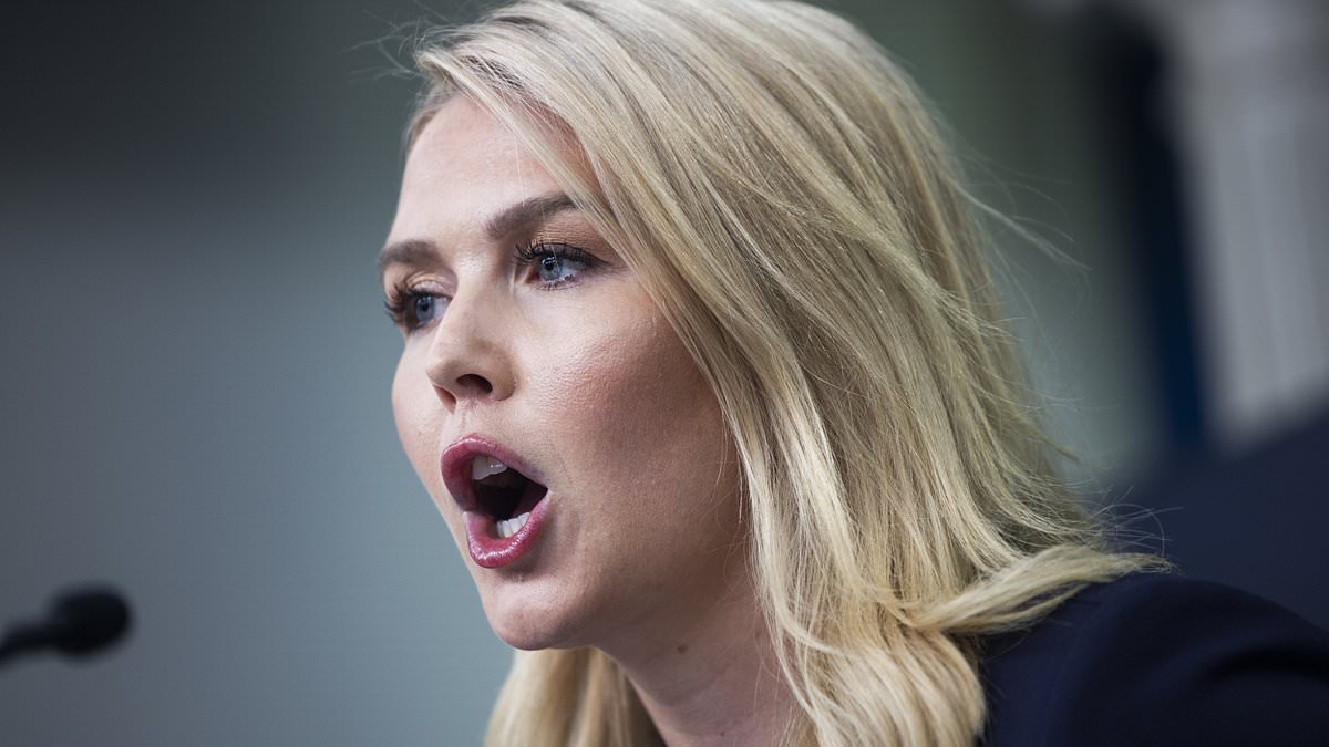 alert-–-karoline-leavitt-reveals-trump’s-‘patience-is-very-thin’-with-top-world-leader:-live-updates