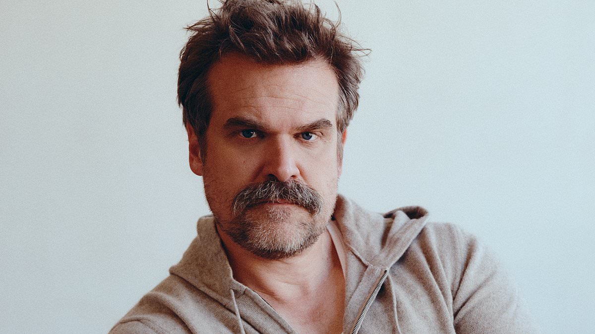 alert-–-david-harbour-admits-he-‘can-go-to-dark-places’-as-he-breaks-his-silence-on-lily-allen-split-–-as-he-says-‘it’s-been-hard-but-i’m-having-a-period-of-growth’-following-cheating-allegations