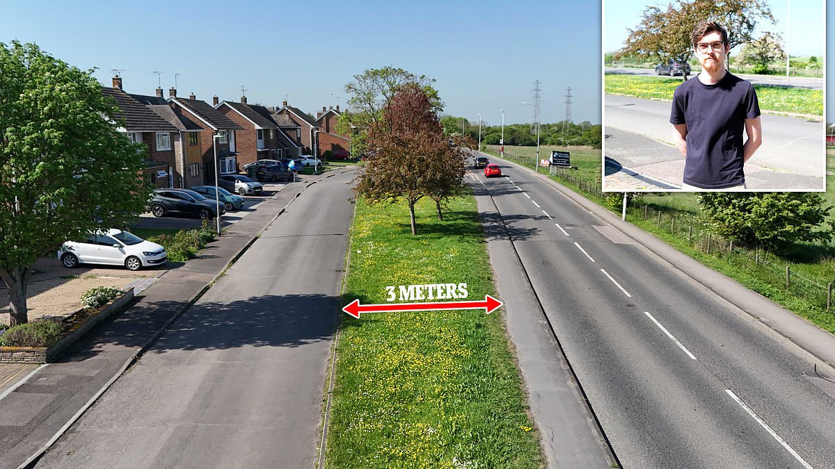 alert-–-‘there’ll-be-uproar’:-residents’-fury-after-three-meter-wide-grass-verge-is-listed-for-auction-prompting-fears-travellers-could-move-in