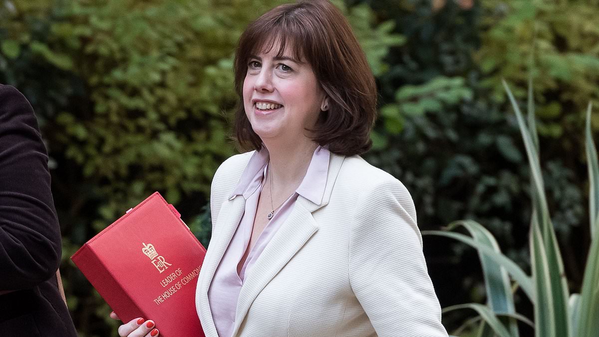 alert-–-labour’s-wes-streeting-dismisses-calls-for-fellow-cabinet-minister-lucy-powell-to-resign-after-she-claimed-grooming-gangs-is-a-‘dog-whistle’-issue