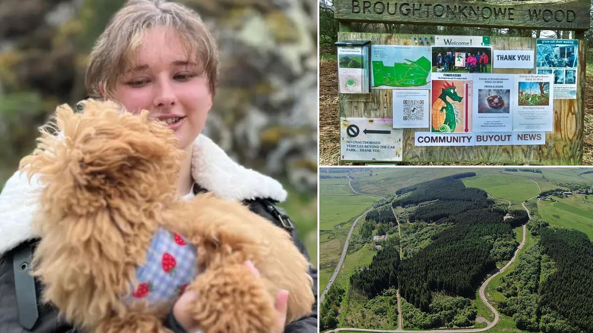 alert-–-wood-you-believe-it!-dog-walkers-raise-900k-to-save-forest-for-community