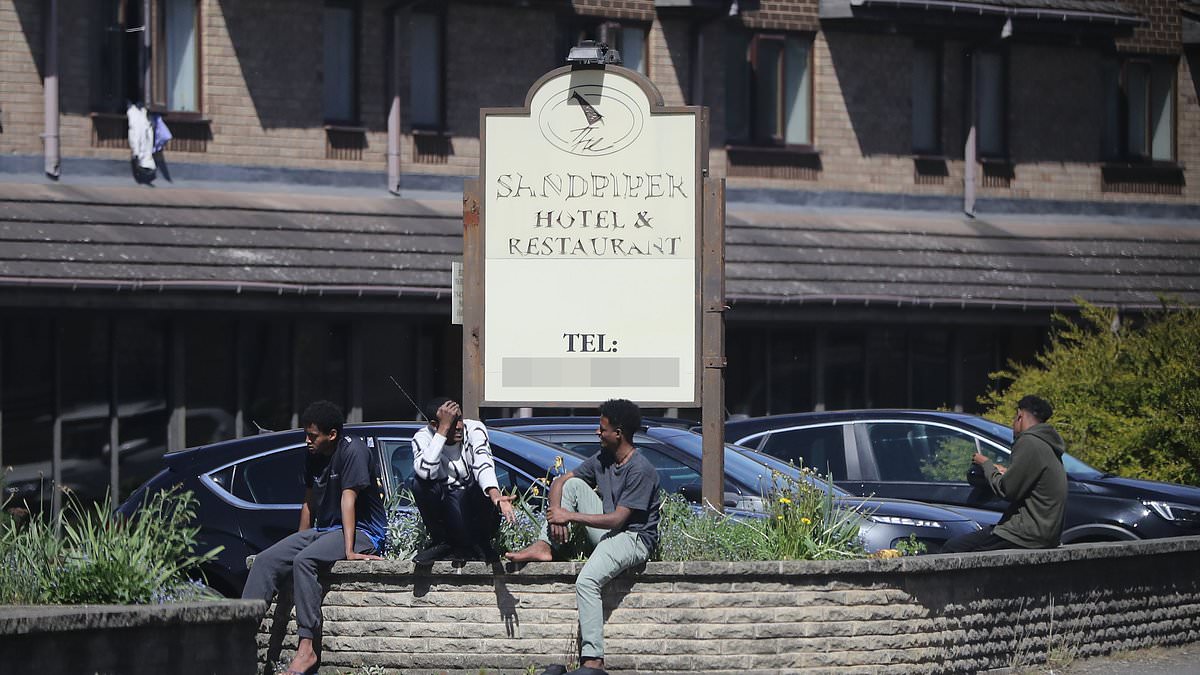 alert-–-the-migrant-hotel-that-has-turned-a-quiet-country-idyll-upside-down:-locals-complain-loitering-asylum-seekers-ask-for-cash-and-even-peer-through-our-windows