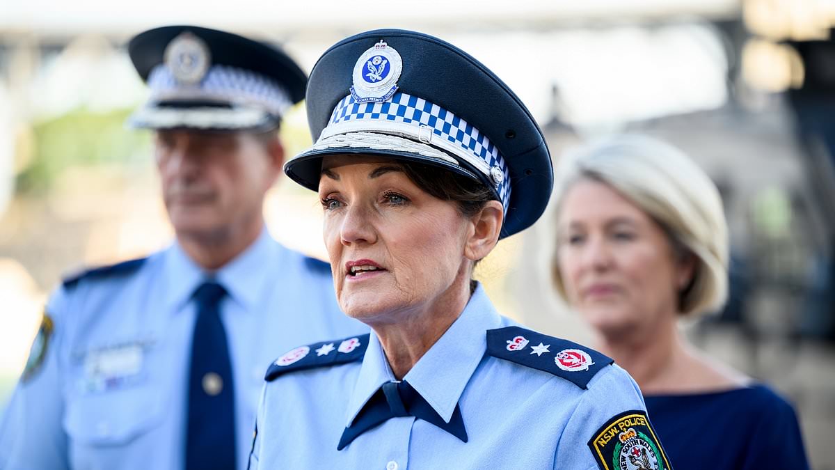 alert-–-karen-webb-set-to-resign-from-nsw-police