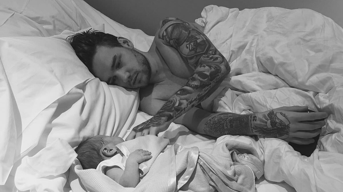 alert-–-‘bear-will-never-want-for-anything’:-how-liam-payne-made-sure-his-son-was-set-up-for-life-as-it’s-revealed-the-former-one-direction-star-died-without-a-will