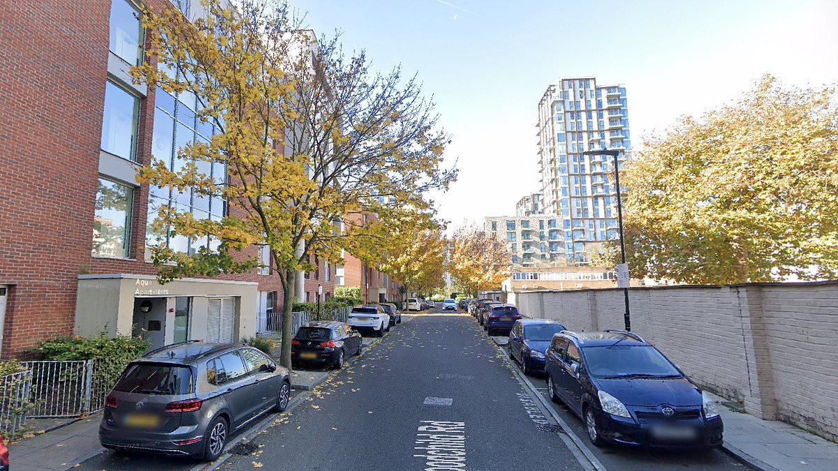 alert-–-man,-58,-is-charged-with-murdering-87-year-old-man-and-robbery-after-police-were-called-to-scene-in-north-london
