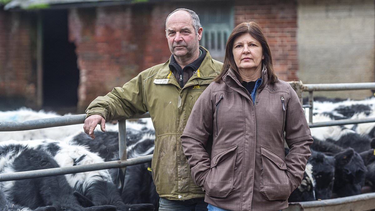 alert-–-the-crime-that-revolted-britain:-how-farmers-caught-twisted-pervert-abusing-their-calves-with-covert-camera-operation…-and-three-years-later-it-has-changed-their-lives-forever