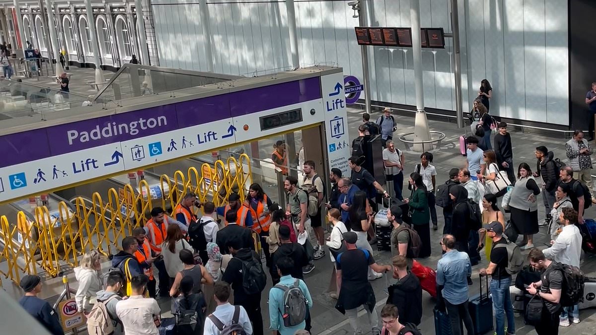 alert-–-almost-half-of-tube-network-is-hit-by-delays-after-major-outage:-commuters-scramble-to-get-home-as-power-failure-shuts-dozens-of-stations