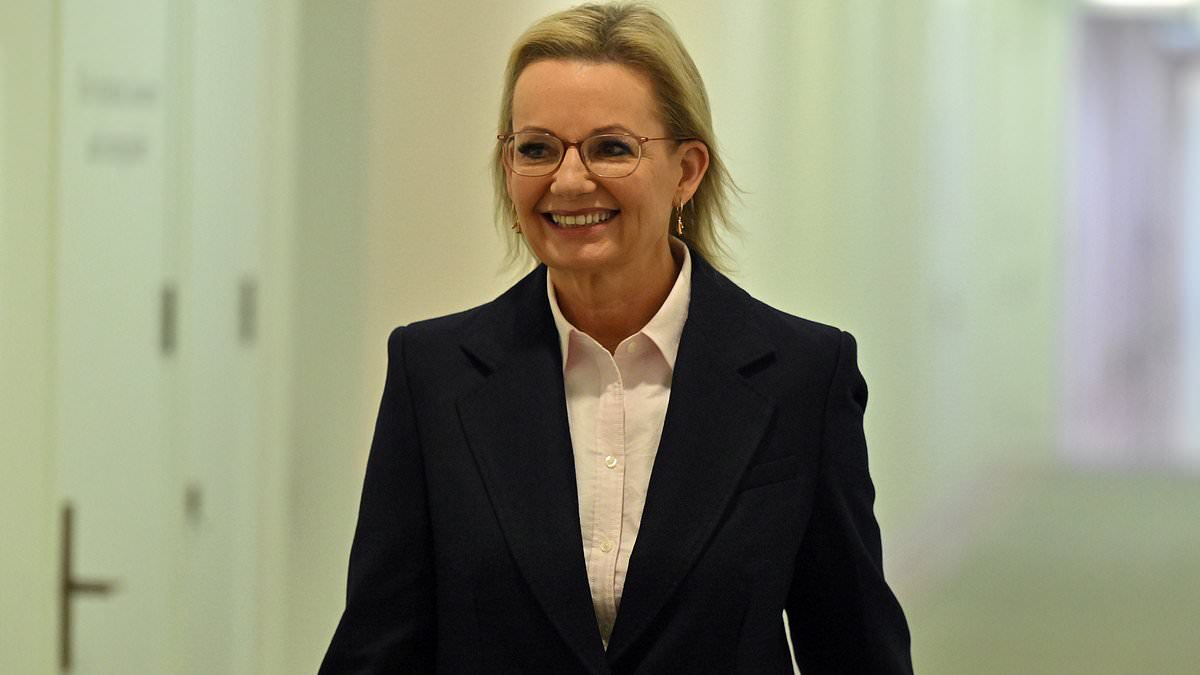 alert-–-who-is-sussan-ley?-everything-you-need-to-know-about-the-liberal’s-new-leader