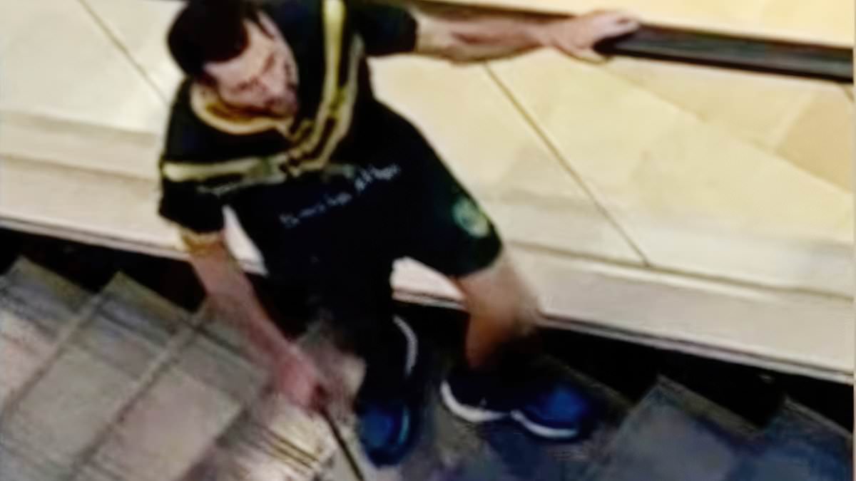 alert-–-bondi-junction-killer’s psychiatrist-makes-a-stunning-backflip-just-hours-after-revealing-his-motivation-for-the-attack