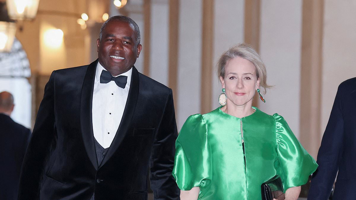 alert-–-taxi-driver-says-he-was-‘the-victim-of-assault’-when-david-lammy-and-his-wife-‘refused-to-pay-590-fare-after-driving-them-from-italy-to-french-ski-resort’
