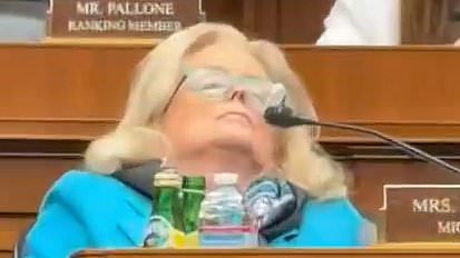 alert-–-outrage-as-multiple-lawmakers-fall-asleep-in-congress