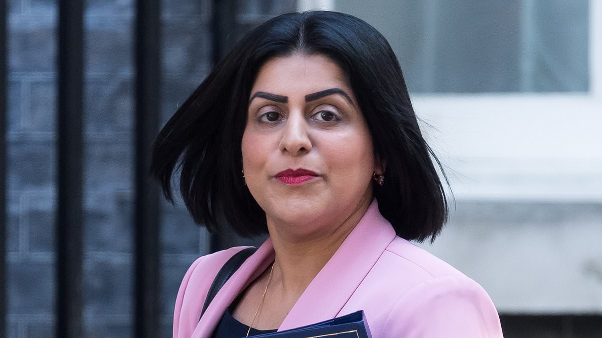 alert-–-labour’s-‘pitiful’-soft-justice-measures-mean-criminals-will-be-hauled-back-to-jail-for-only-a-few-weeks if-they-breach-the-terms-of-their-release