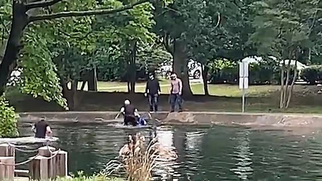 alert-–-wild-moment-migrant-tries-to-escape-ice-agents-by-jumping-into-pond-outside-courthouse