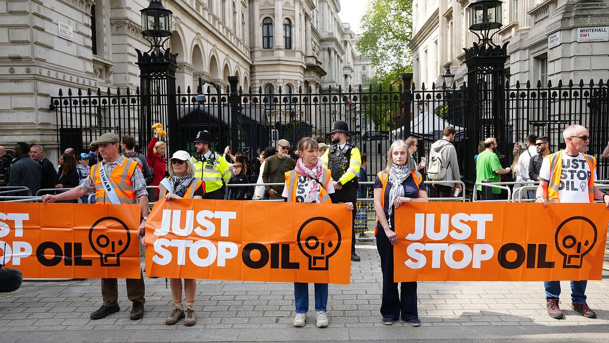 alert-–-just-stop-oil-eco-zealots-are-spared-jail-over-bid-to-cause-mayhem-at-heathrow-airport-after-plotting-to-glue-themselves-to-the-runway