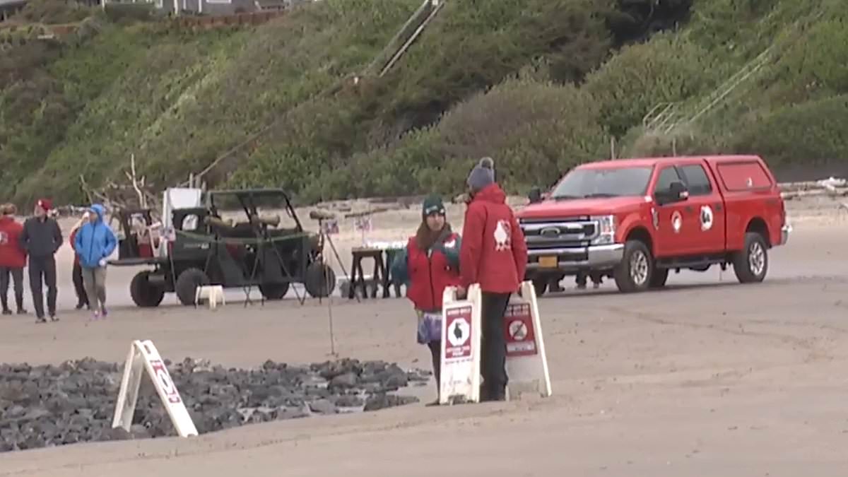 alert-–-frantic-search-for-missing-oregon-boat-after-it-fired-five-flares…-then-vanished