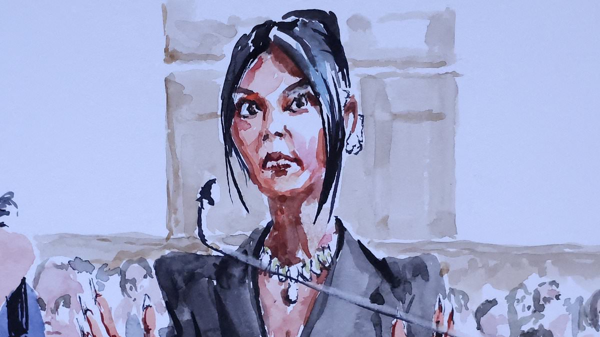 alert-–-can-you-guess-who-these-celebrities-are-meant-to-be?-eight-of-the-worst-court-sketches-as-kim-kardashian-takes-the-stand-in-$10m-jewel-heist-trial