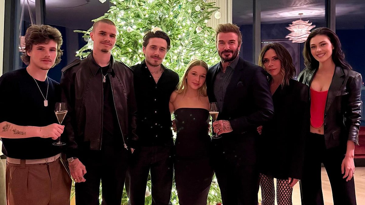 alert-–-key-sign-that-‘awkward’-nicola-peltz-was-‘distancing-herself’-from-the-beckhams-revealed-in-final-photograph-together-–-as-three-year-feud-comes-to-an-ugly-head