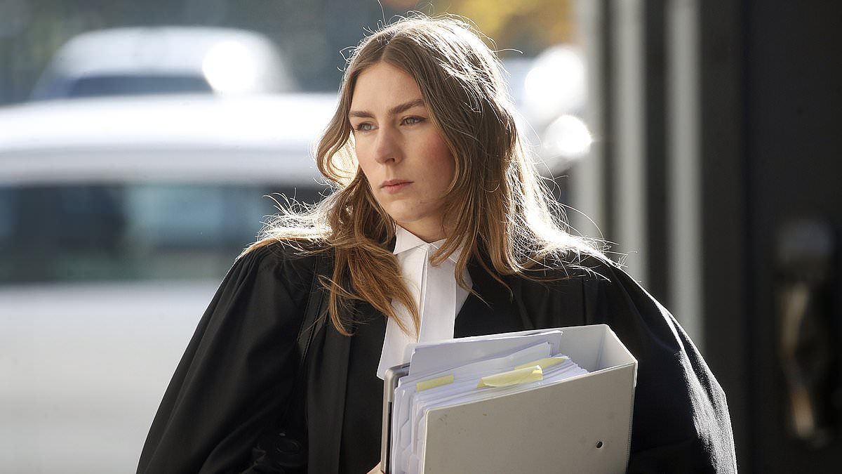 alert-–-what-the-erin-patterson-murder-trial-jury-was-told-this-week-that-you-never-heard-about-–-as-new-details-emerge-about-how-much-she-ate-of-the-deadly-beef-wellington