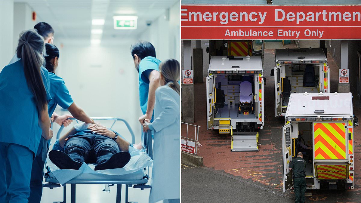 alert-–-health-tourists-rack-up-6million-nhs-bill-as-taxpayers-foot-cost-of-plastic-surgery-and-dental-care