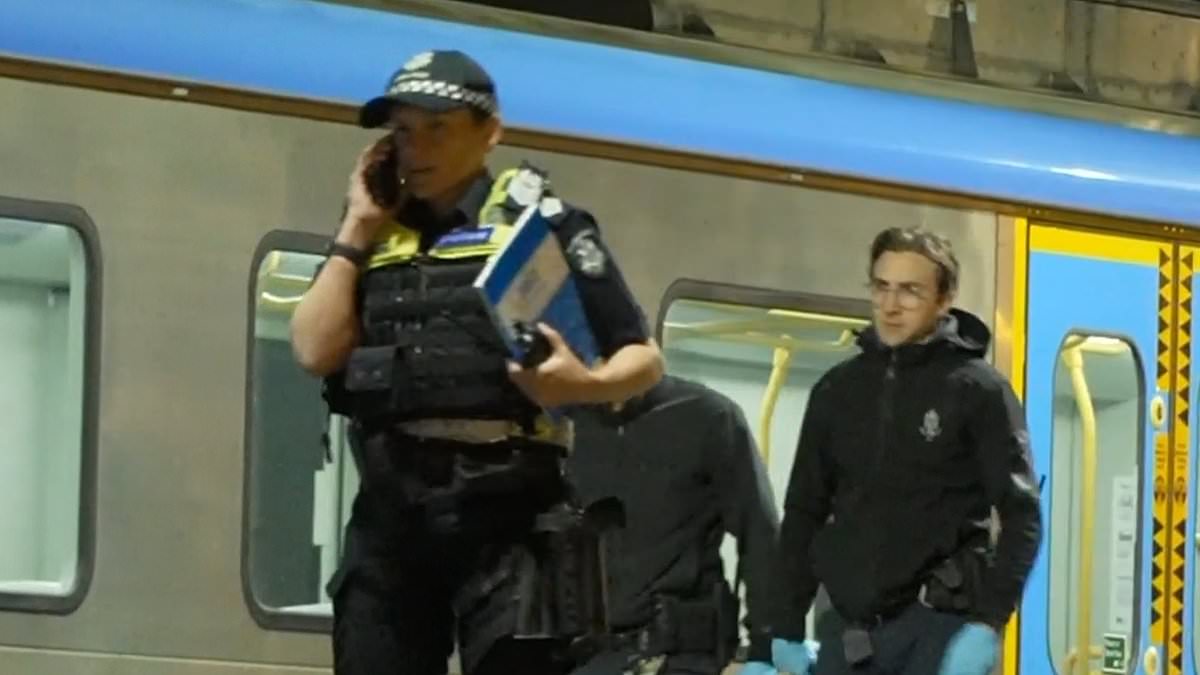 alert-–-teenage-girl,-16,-is-stabbed-on-a-melbourne-train-–-just-a-day-after-a-woman-was-attacked-by-a-stranger-with-a-machete-at-a-petrol-station