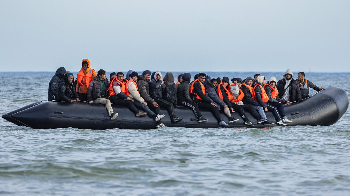 alert-–-send-it-bark!-taxpayers-‘paid-for-small-boat-migrant’s-dog-to-be-kept-in-a-kennel-to-quarantine’-after-crossing-the-channel 