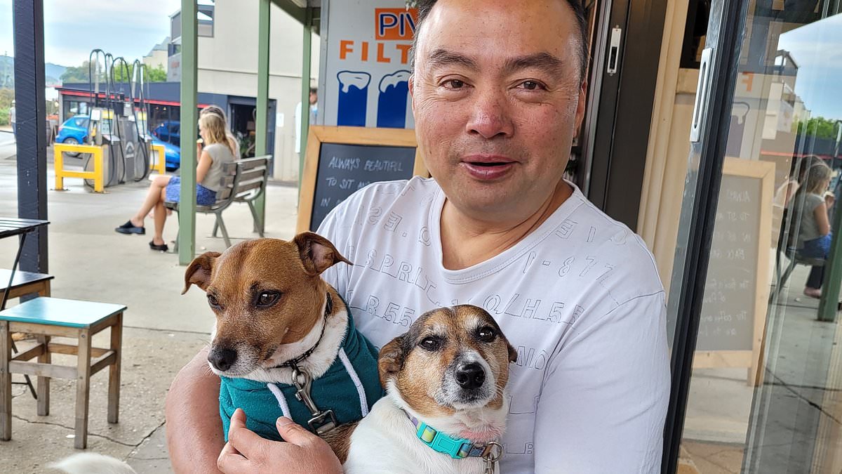 alert-–-inside-dog-owner’s-bizarre-five-year-battle-to-defend-his-two-jack-russells-–-as-he-now-risks-losing-his-house-after-shelling-out-$100k-in-legal-costs