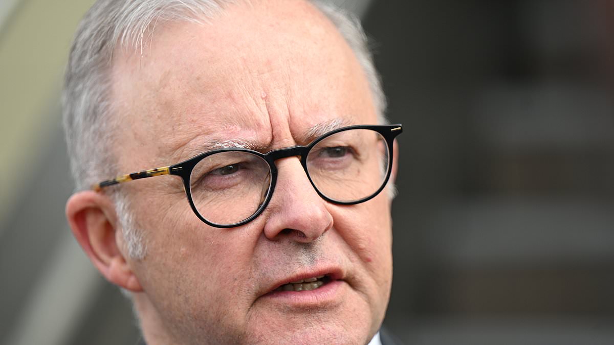 alert-–-anthony-albanese-confirms-payments-for-those-impacted-by-the-floods:-what-you-need-to-know