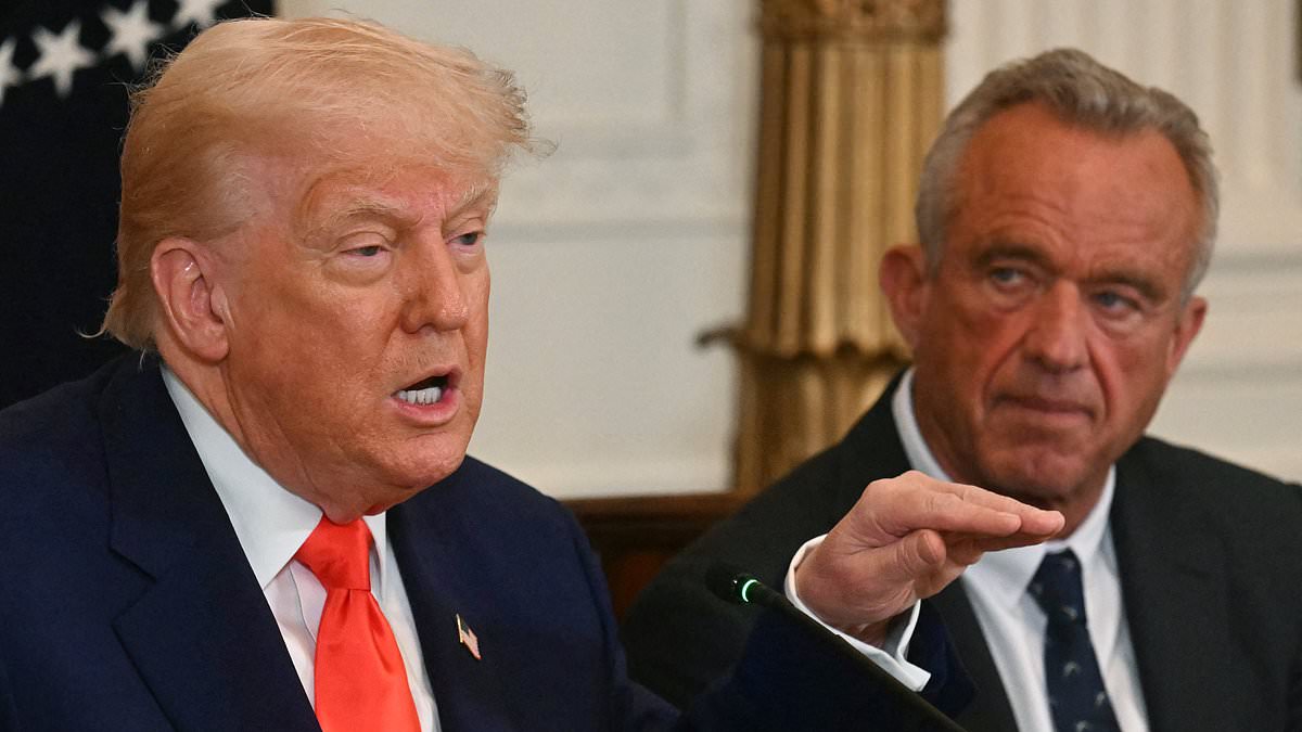 alert-–-trump-hints-at-‘something-big’-coming-in-ukraine-and-reveals-‘major-prisoner-swap’-between-russia-and-kyiv-believed-to-involve-1,000-from-each-side