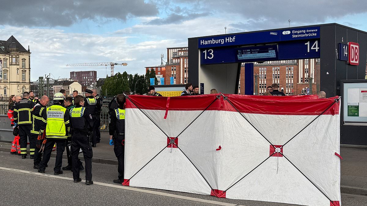 alert-–-chilling-moment-hooded-woman,-39,-is-arrested-after-18-were-stabbed-in-hamburg:-‘i-heard-everyone-start-screaming’-says-eye-witness