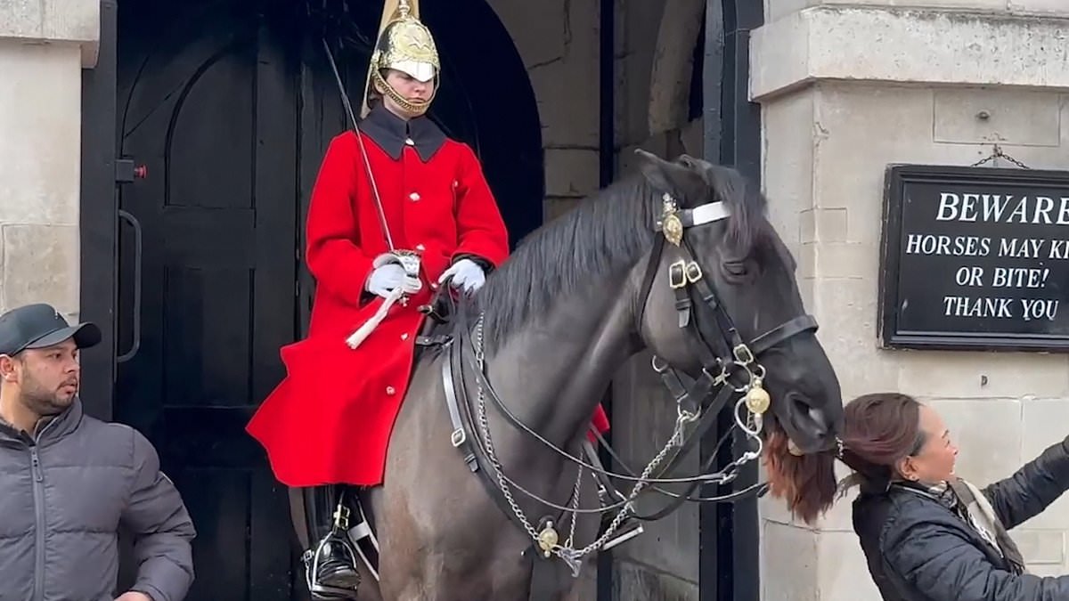 alert-–-all-the-times-tourists-have-angered-the-king’s-guard-–-and-the-real-reason-for-their-severe-reaction