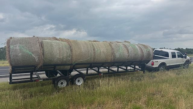 alert-–-they-look-like-ordinary-bales-of-hay-but-cops-make-a-very-surprising-discovery-during-traffic-stop