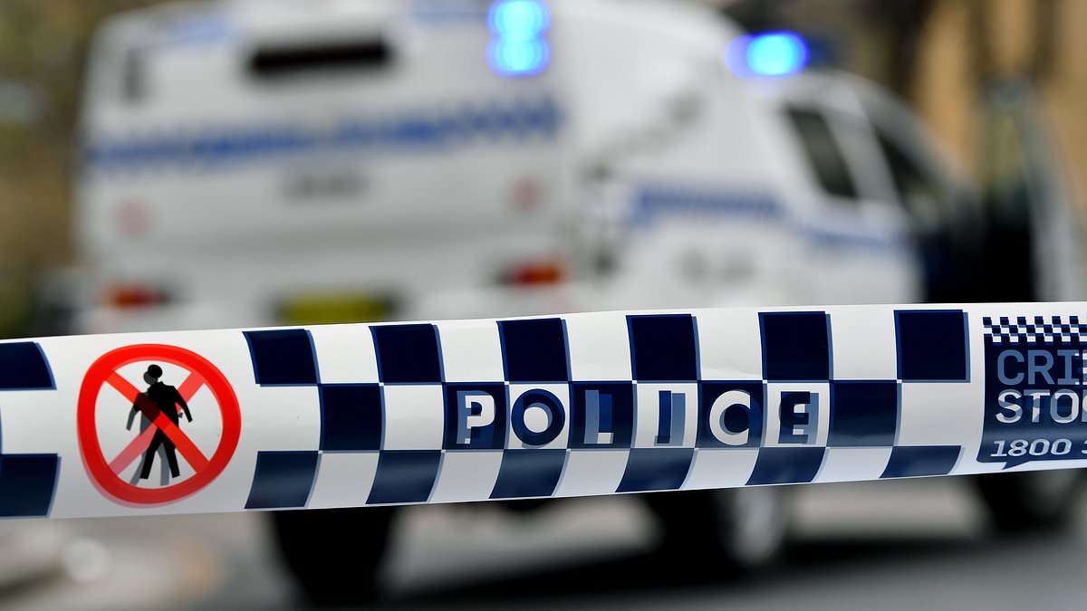 alert-–-young-girl,-8,-fights-for-life-after-being-hit-by-a-car-at-hornsby-heights