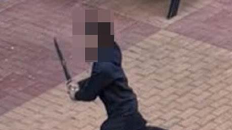 alert-–-northland-shopping-centre-in-melbourne-is-sent-into-lockdown-after-brawl-broke-out-between-rival-gangs-armed-with-machetes