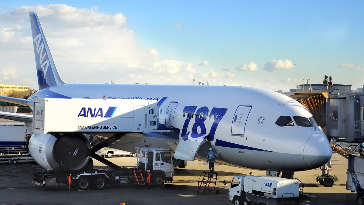 alert-–-chilling-video-shows-manic-passenger-who-tried-to-kill-all-onboard-flight-to-houston
