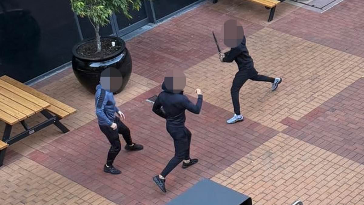 alert-–-read-the-panic-stricken-texts-from-inside-northland-shopping-centre-when-all-hell-broke-loose-in-machete-gang-brawl