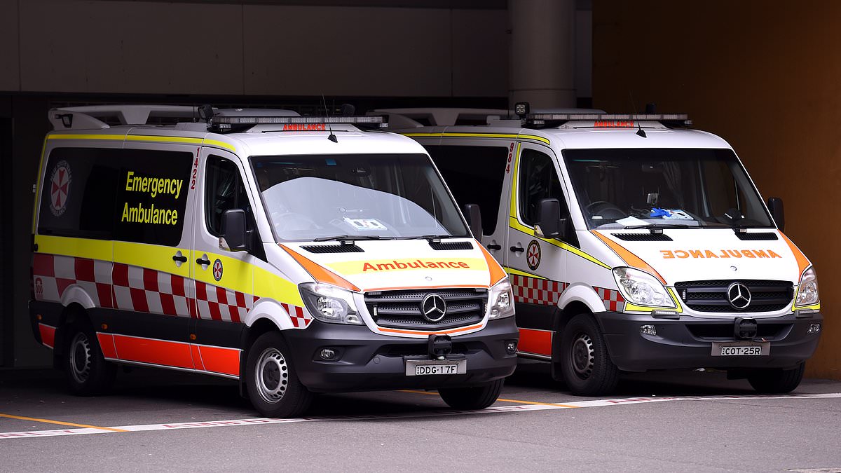 alert-–-mum-and-young-son-are-hit-by-a-car-and-left-in-a-serious-condition-at-arncliffe