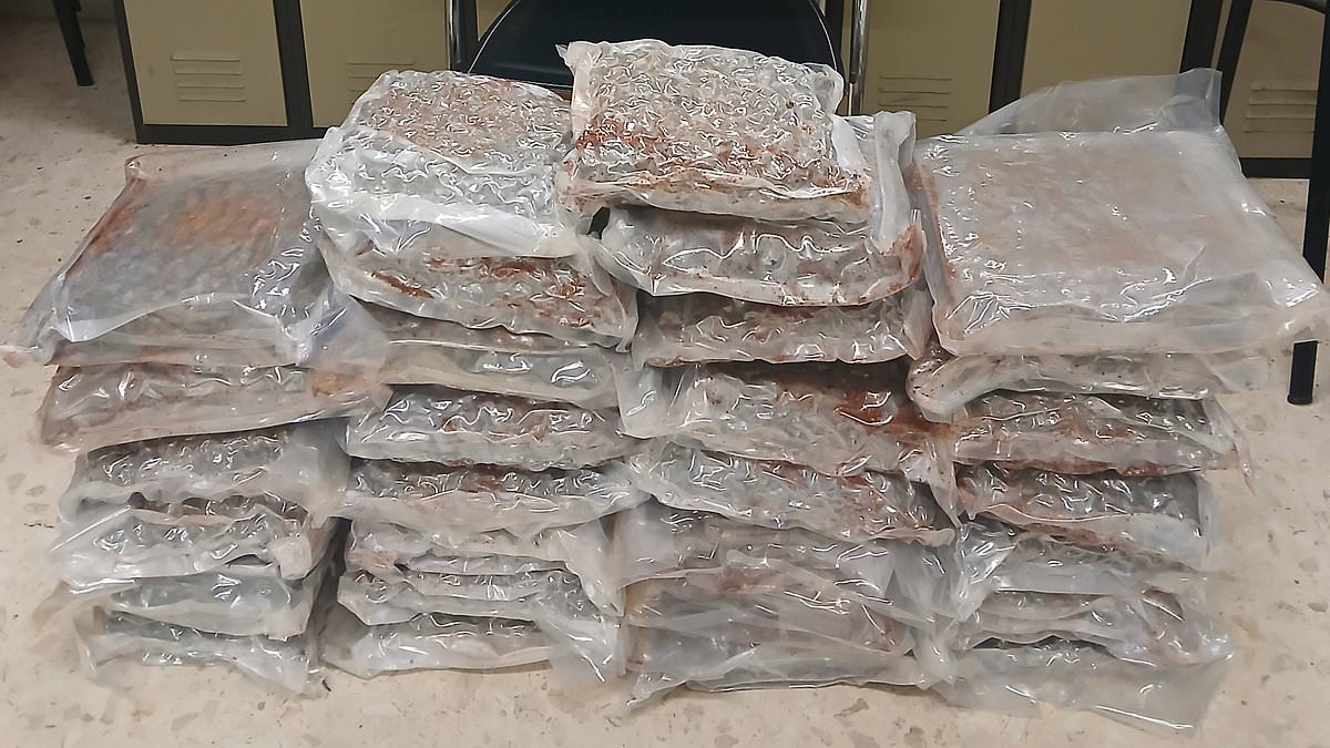 alert-–-uk-couple-are-‘caught-with-33kg-of-cannabis-in-their-suitcases’-after-flying-into-spain-from-thailand-–-the-latest-british-tourists-to-face-drug-charges-after-flying-out-of-the-country