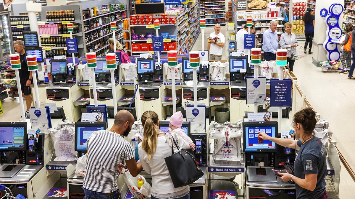 alert-–-tesco-is-mocked-for-bringing-‘var-style’-ai-action-replays-at-self-service-tills-–-showing-video-of-customers-if-they-fail-to-scan-shopping-correctly