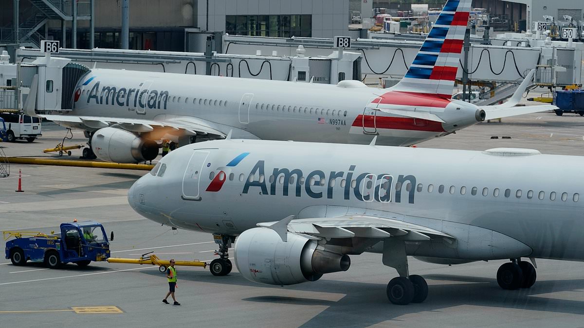 alert-–-terror-on-american-airlines-as-passenger-attacks-flight-attendant