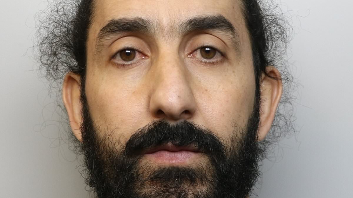 alert-–-prolific-thief-who-targeted-jenson-button’s-wife-and-stole-her-suitcase-containing-250,000-of-lavish-goods-is-jailed