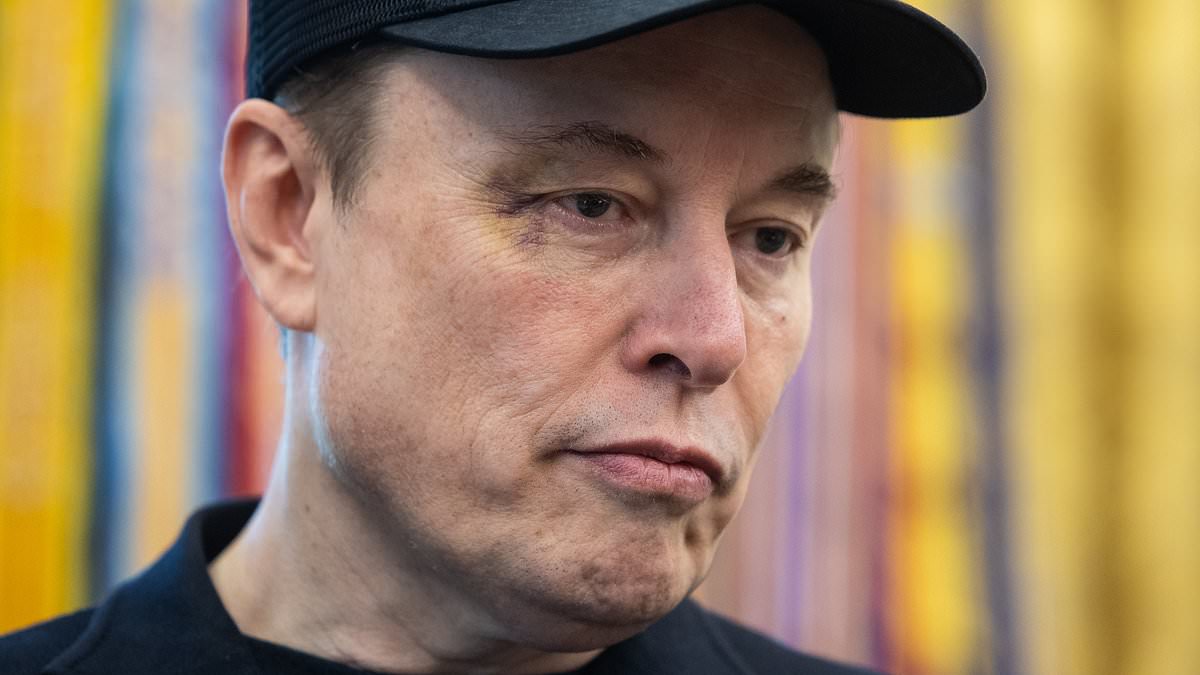 alert-–-how-did-elon-musk-get-that-black-eye?-white-house-rife-with-rumours-over-trump-aide’s-wife-as-she-quits-west-wing-to-work-for-world’s-richest-man