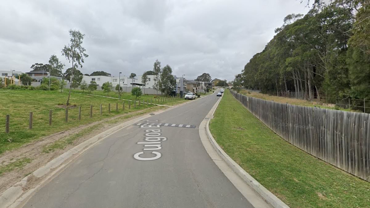 alert-–-toddler-‘critical’-after-being-hit-by-a-car-in-the-driveway-of-a-home-in-villawood,-sydney