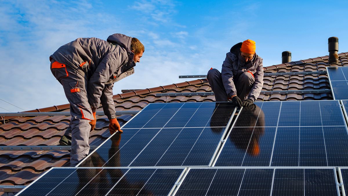 alert-–-one-in-five-nhs-trusts-using-chinese-made-solar-panels-‘linked-to-slaves’