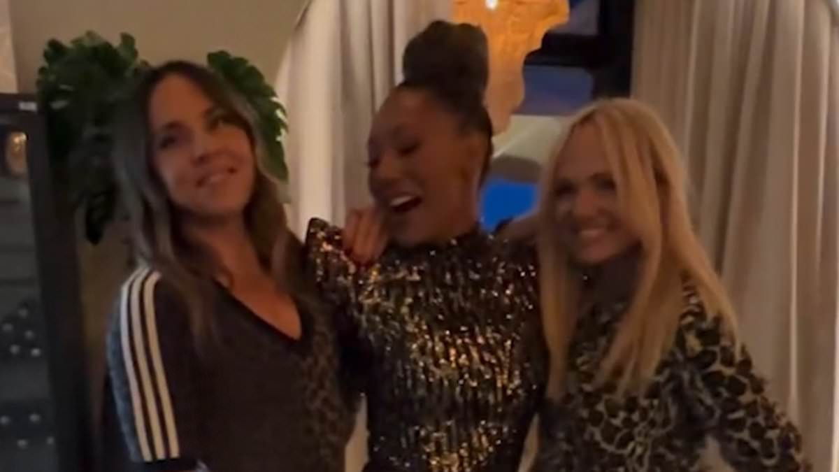 alert-–-mel-b-dances-the-night-away-with-her-leopard-print-clad-spice-girls-bandmates-mel-c-and-emma-bunton-at-lavish-50th-birthday-party
