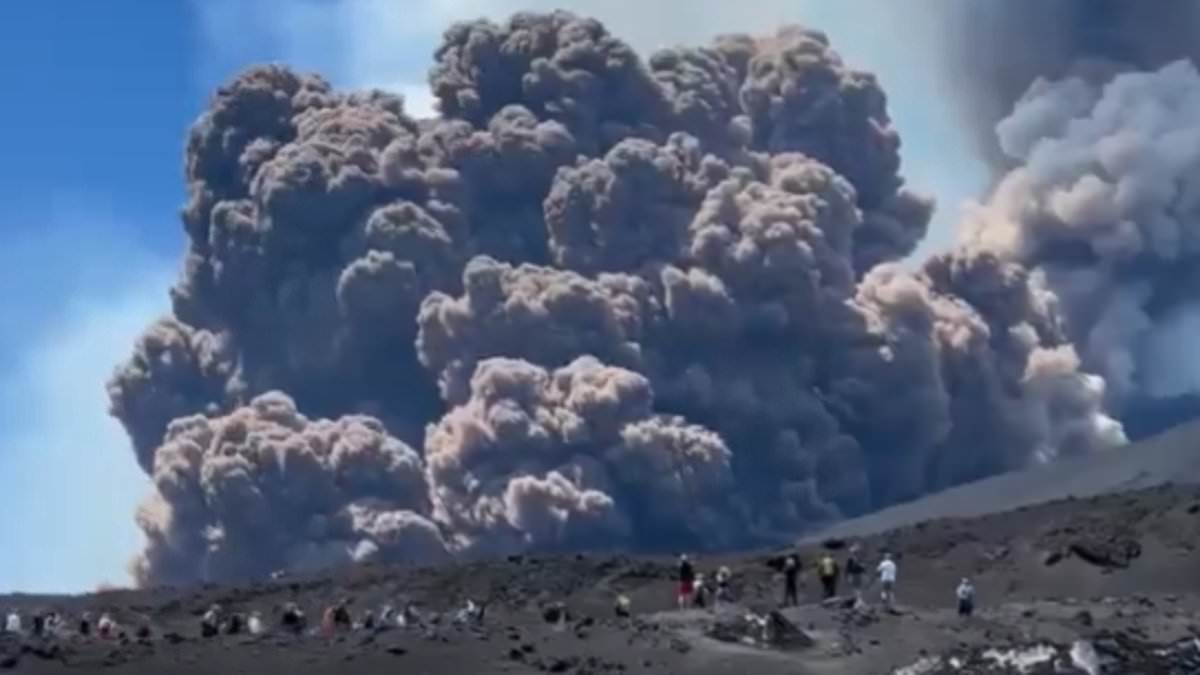 alert-–-terrified-tourists-run-for-their-lives-as-mount-etna-erupts,-sending-gigantic-plume-of-ash-more-than-a-mile-into-the-sky