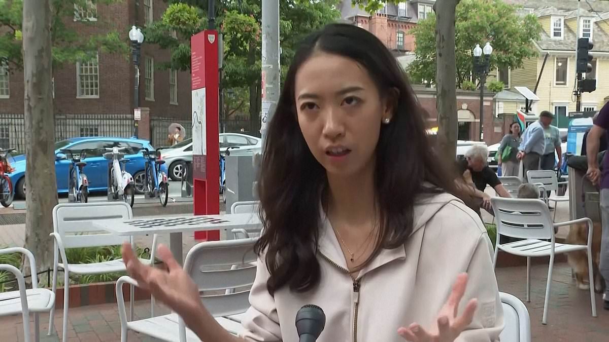 alert-–-harvard-grad-preaching-global-unity-completely-oblivious-as-brawl-break-out-right-behind-her
