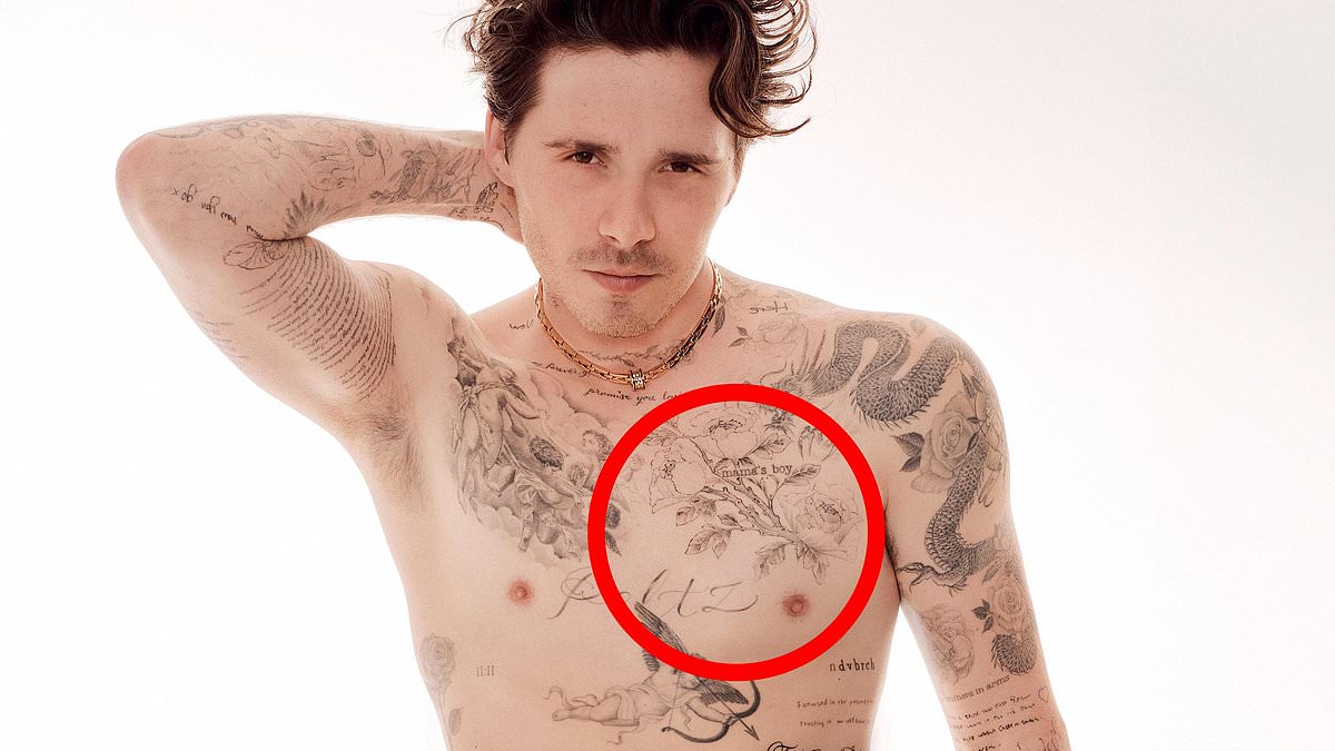 alert-–-brooklyn’s-savage-tattoo-rebuke-to-victoria-as-friends-reveal-why-she-‘dislikes-nicola-intensely’-and-jaw-dropping-story-of-what-really-happened-at-wedding-that-left-bride-in-tears:-alison-boshoff