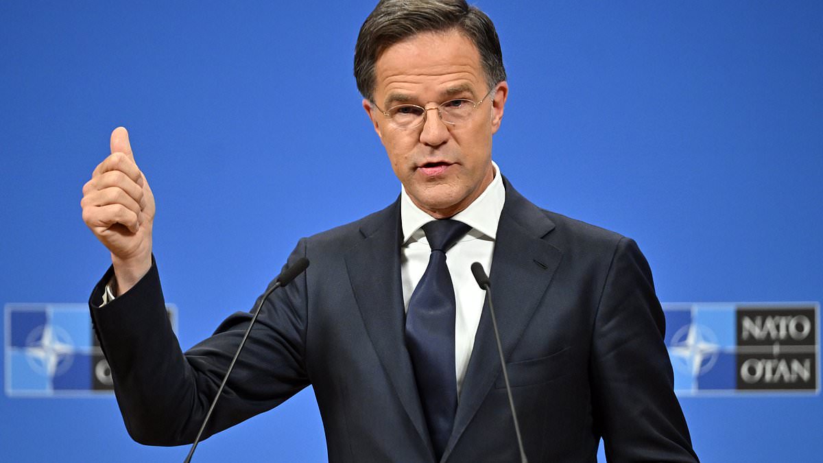 alert-–-will-nato-states-have-to-find-$325billion-a-year-more-for-defence?-alliance-chief-heaps-pressure-on-starmer-saying-europe-and-canada-must-‘equalise’-contributions-with-the-us