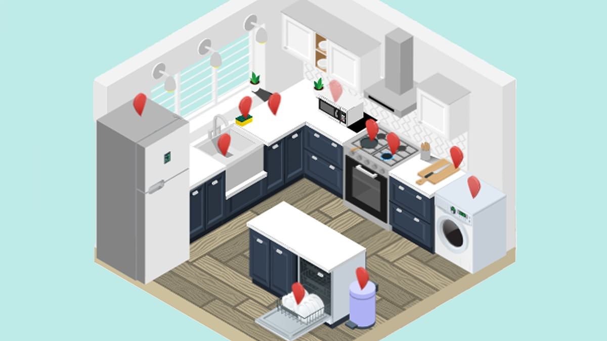 alert-–-from-dementia-to-sepsis:-the-deadly-diseases-lurking-in-your-kitchen-appliances