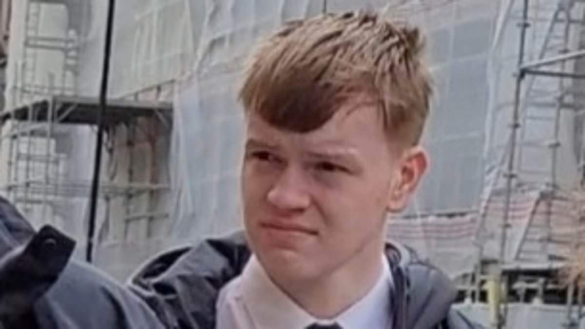 alert-–-hulking-schoolboy-who-left-female-teacher-unconscious-in-a-pool-of-her-own-blood-in-horrific-attack-after-being-asked-to-change-separately-from-other-pupils-avoids-prison
